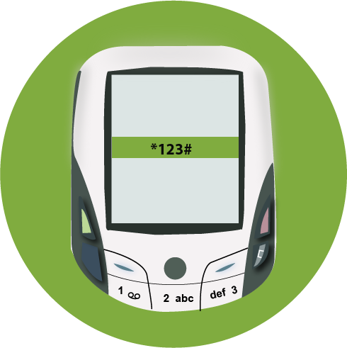 SMS and USSD Services SMS and USSD Services